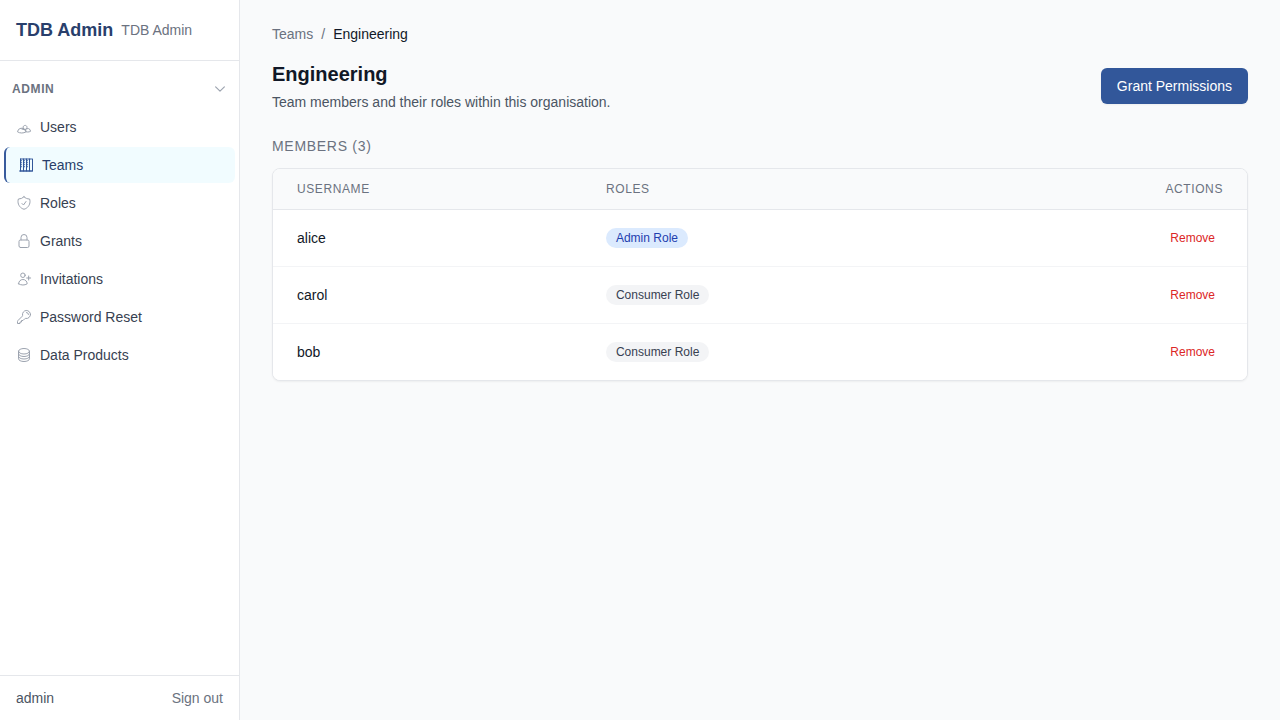 Team membership view showing users with their assigned roles