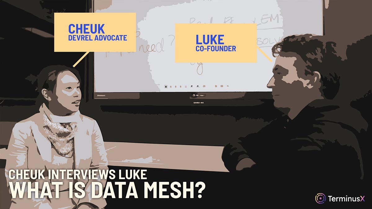 What is data mesh