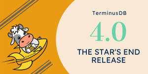 TerminusDB 4.0 - The Star's End Release