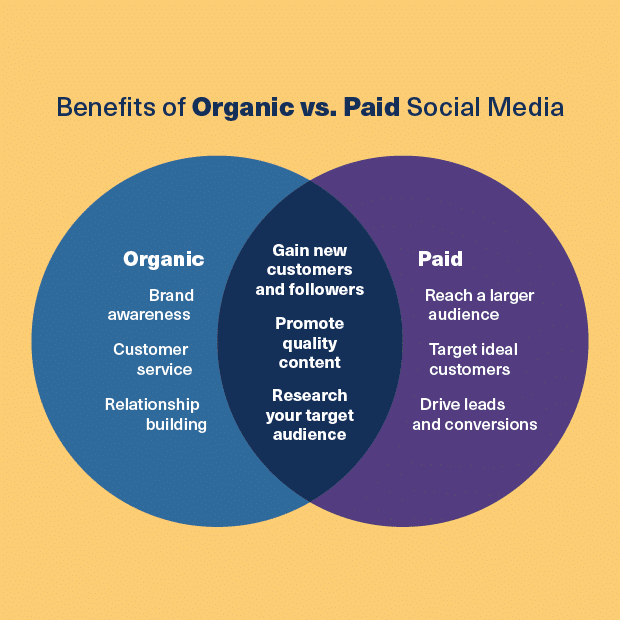orgainic vs paid