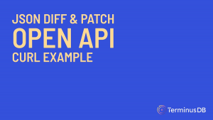 Open API for JSON Diff and Patch